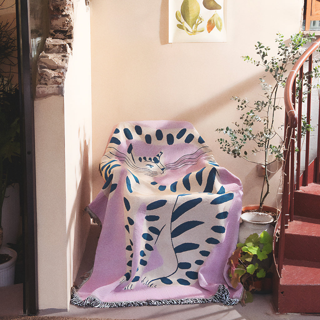 Manta Gattino