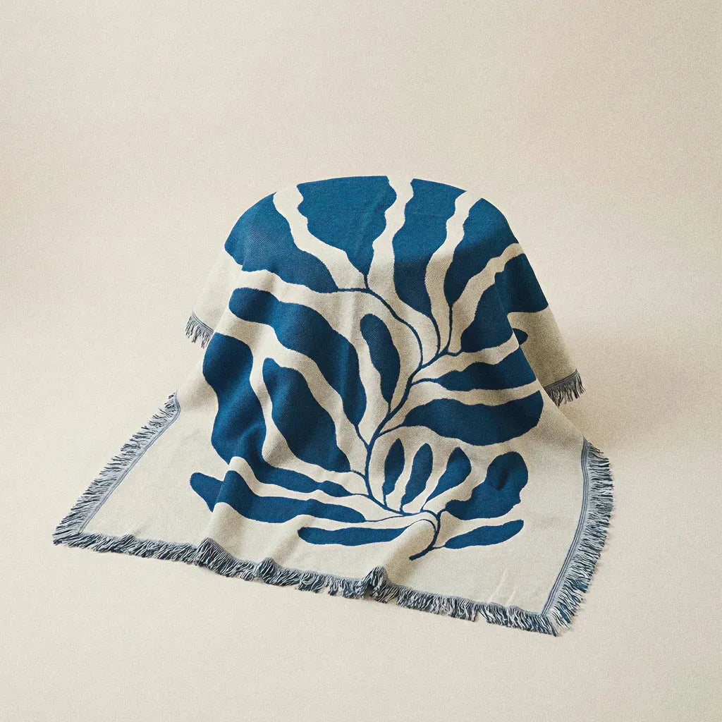 Manta Alga
