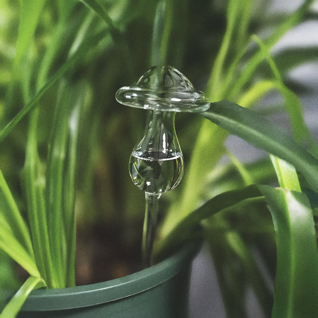 Regador Goccia Verde